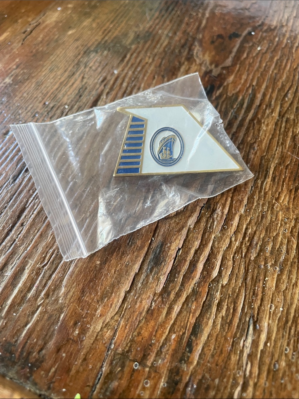 Cruise ship pin